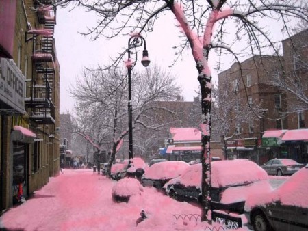 Nieve europea
